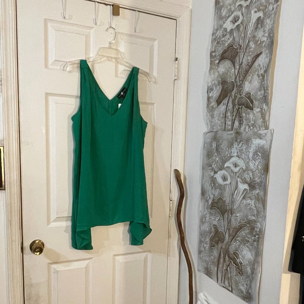Ladies top